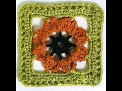 Cuadritos Y Flores Varios a Crochet