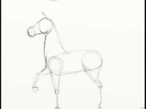 Cómo dibujar un caballo fácil paso a paso