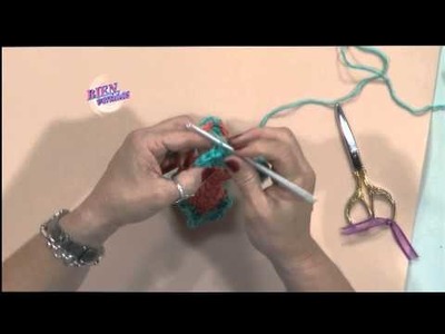 Mónica Astudillo - Bienvenidas en HD - Teje al crochet carpetas con flores