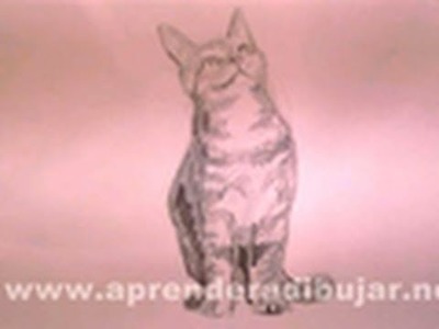 Dibujos de gatos - Cómo dibujar un gato sentado a lápiz