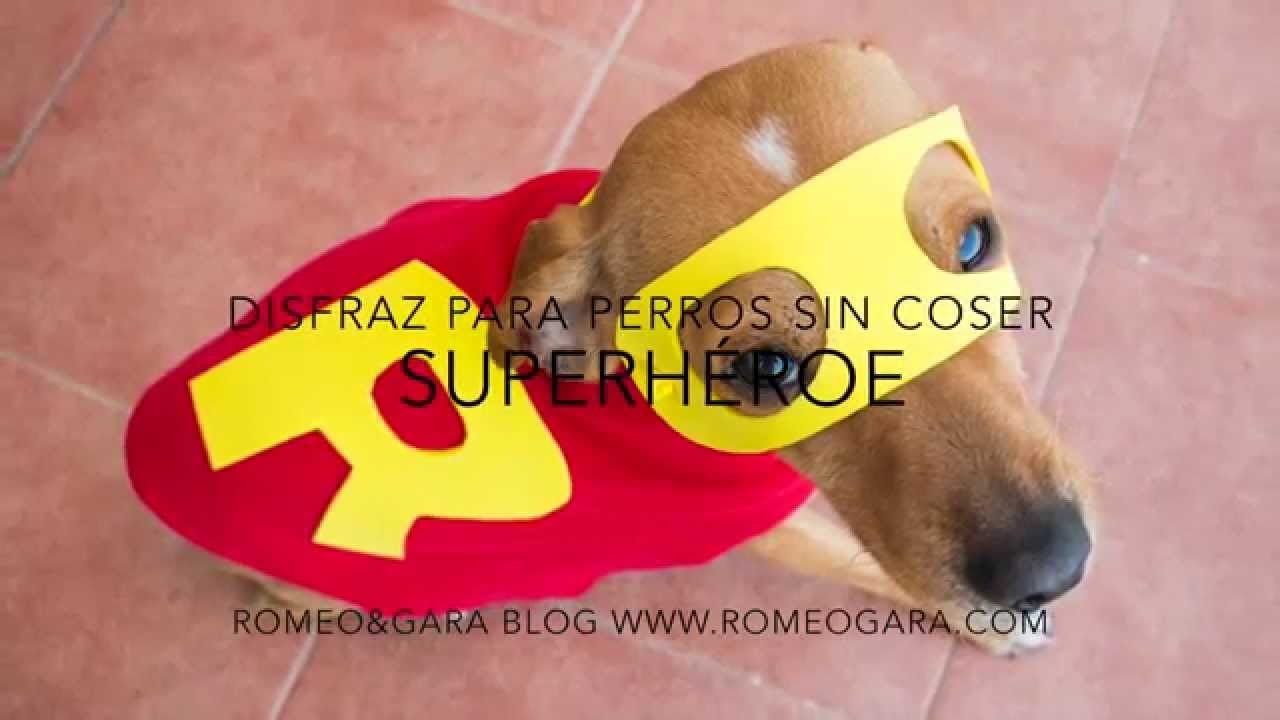 DIY: Disfraz de superhéroe para perro sin coser