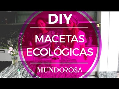 DIY  Macetas ecológicas