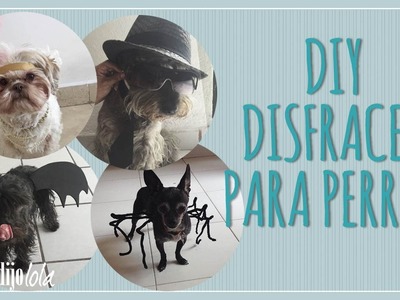 Disfraz para perro  | DIY disfraces para perros | 4 Ideas de disfraces