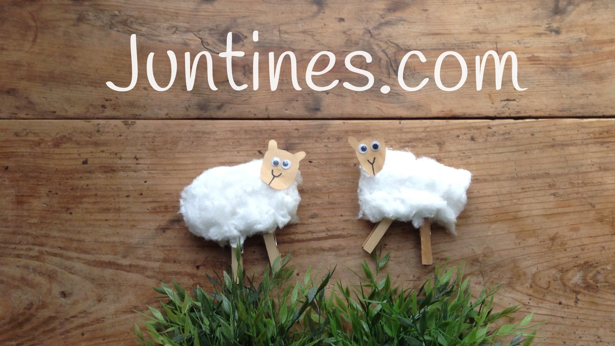 Manualidades de animales: ovejita con algodón