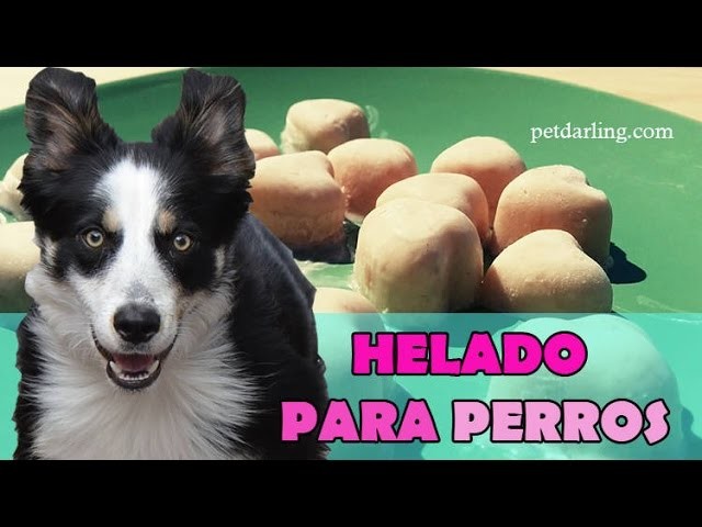 HELADO PARA PERROS casero (Yogur & Plátano). ★ RECETA ★ PetDarling