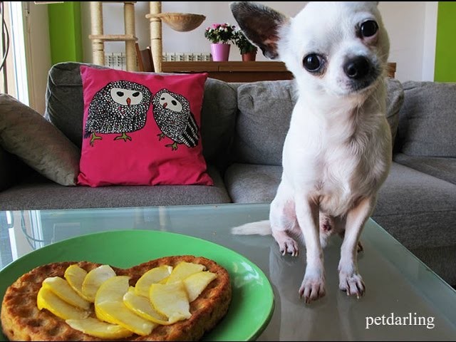 Pastel para perros casero ♥ Torta para perros receta zanahoria y manzana, Fácil!