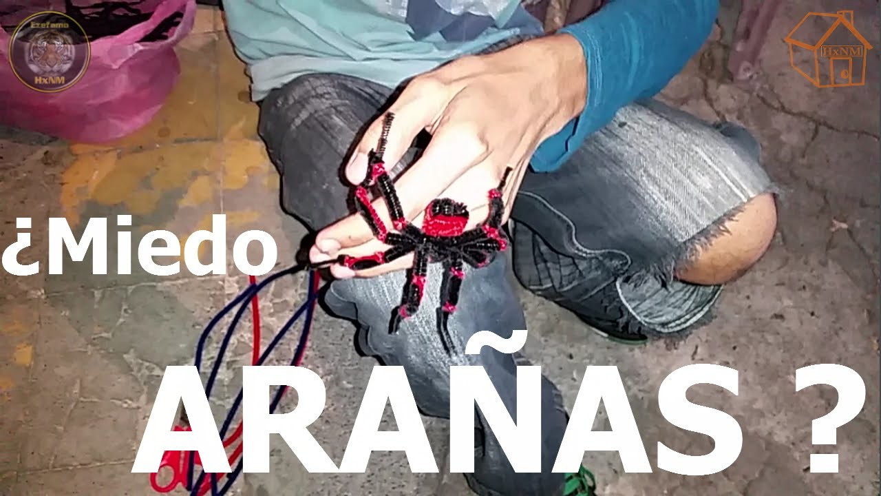 Arañas de manualidad de Luis Antonio