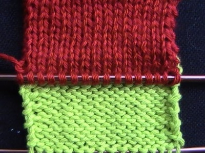 Cómo Aprender a Tejer- How to Knit: Step-by-Step 2 Agujas (330)