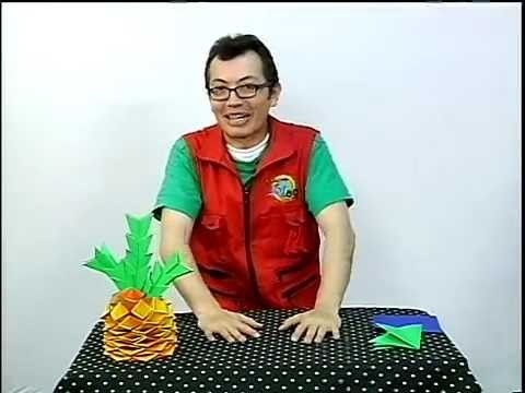 Piña de Origami (D.R.A.) en Canal 5 ¡Tu Canal!