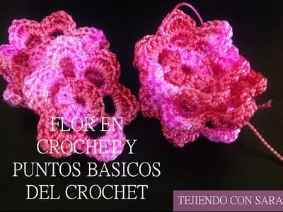 Flor en crochet y puntos básicos del crochet