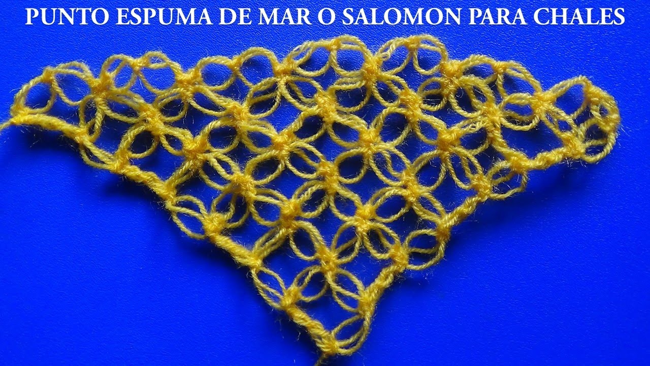 Chal a Crochet # 1: punto espuma de mar o salomon