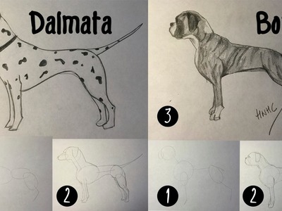 Como dibujar un perro dálmata y bóxer paso a paso