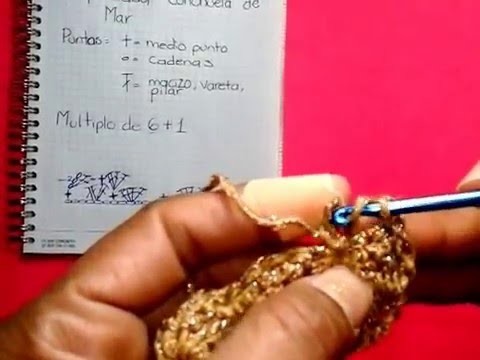PUNTADA CONCHUELA DE MAR