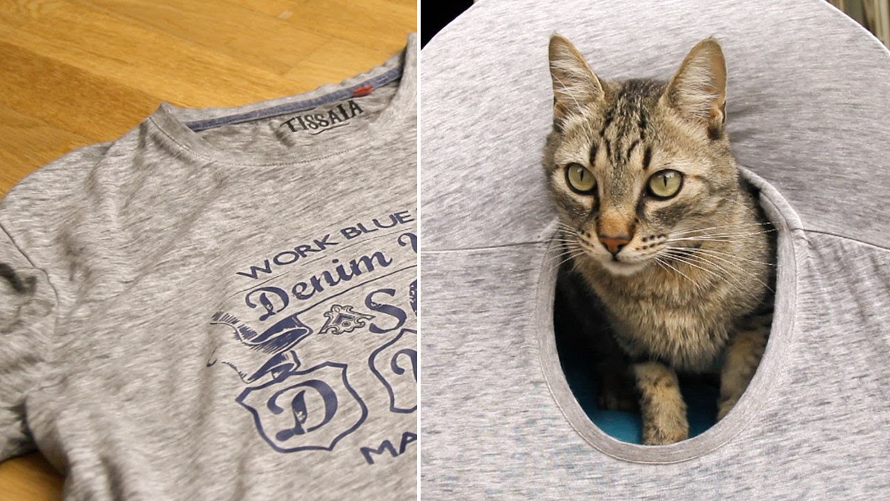 Casa para gatos con una camiseta y dos perchas | MASCOTAS