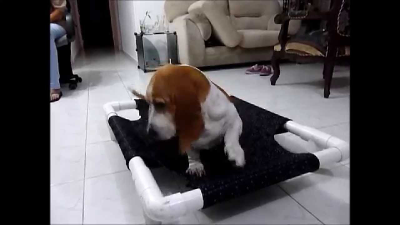 Tutorial - Hacer práctica cama para perros  paso a paso (Dog Bed) - Gabriel Serrano Díaz