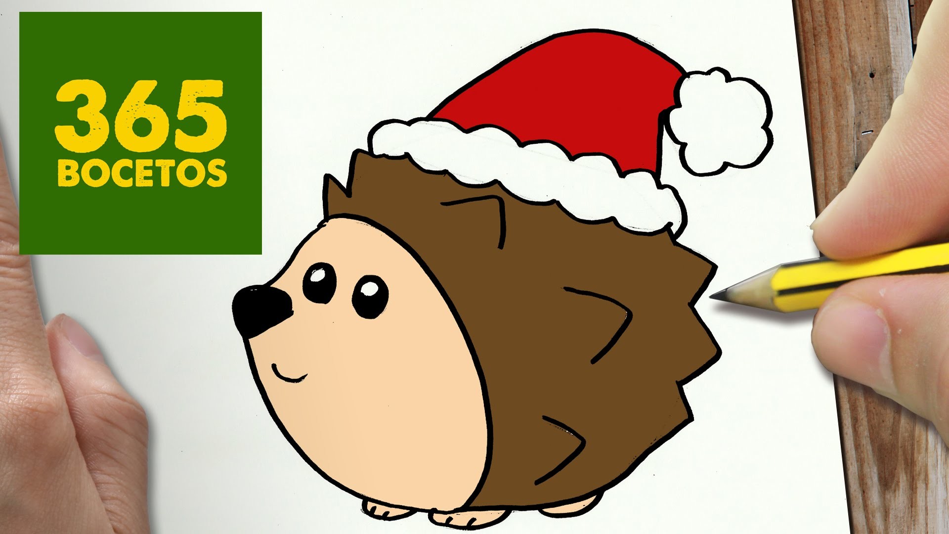 COMO DIBUJAR UN ERIZO PARA NAVIDAD PASO A PASO: Dibujos kawaii navideños - How to draw a Hedgehog