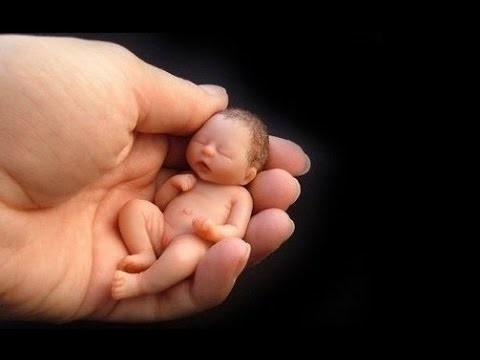 El bebe mas pequeño del mundo