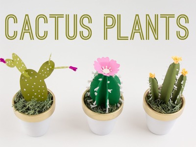 DIY Cactus Plants.  Cactus de Papel