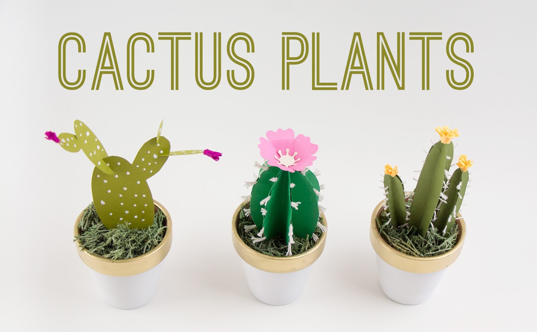 DIY Cactus Plants.  Cactus de Papel