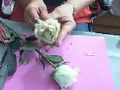 TUTORIAL DIY deshidratación con microondas  de rosas NATURALES