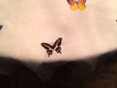 Mariposas bordadas a mano reales
