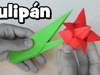 Flor de Papel - Tulipán Origami