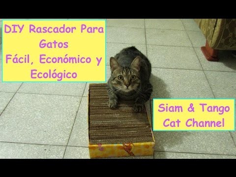 Como Hacer Un Rascador Casero Para Gatos, Fácil, Económico y Ecológico (DIY)