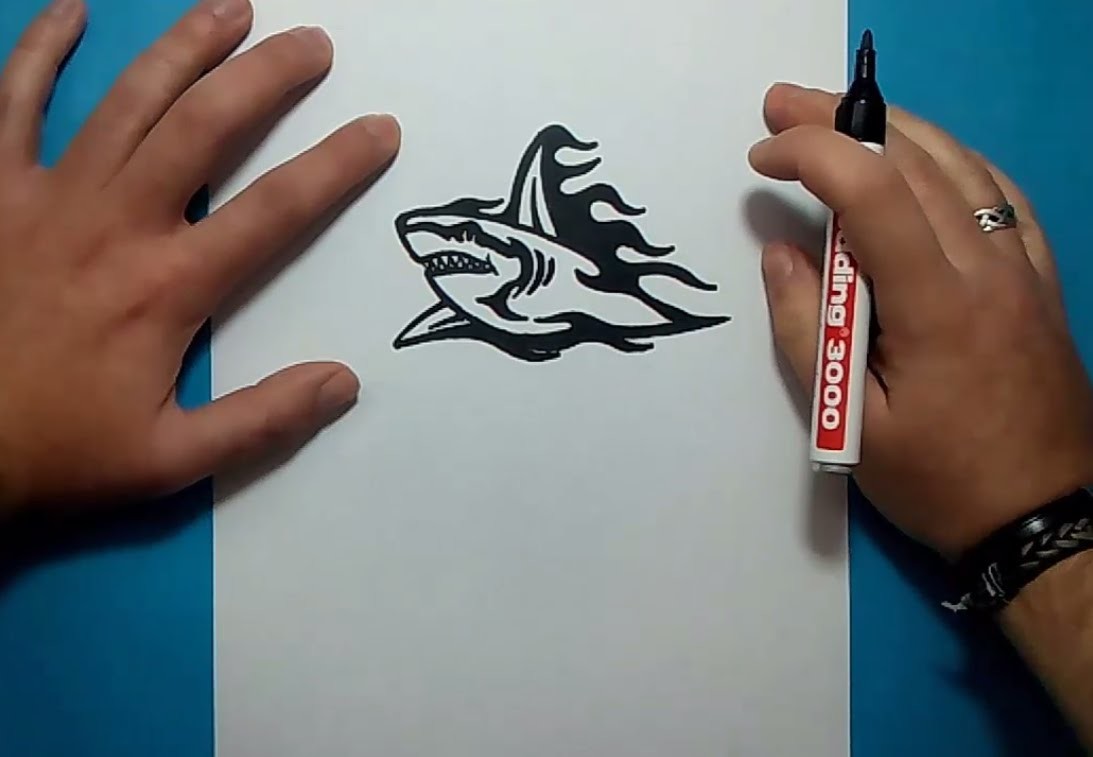 Como dibujar un tiburon paso a paso 7 | How to draw a shark 7