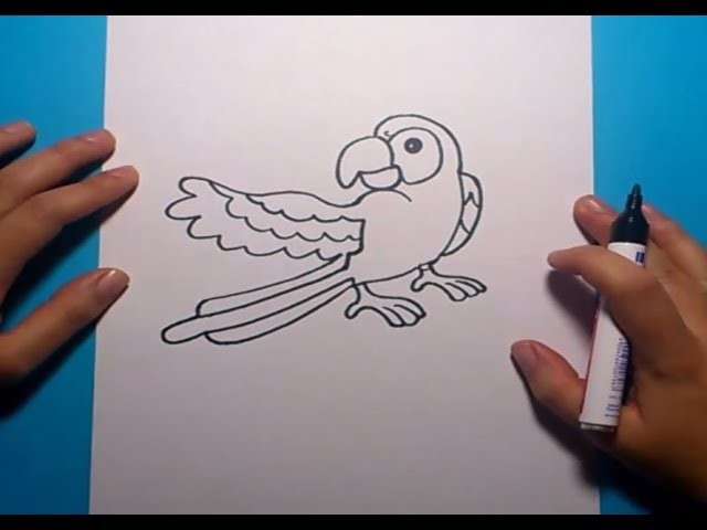 Como dibujar un loro paso a paso | How to draw a parrot