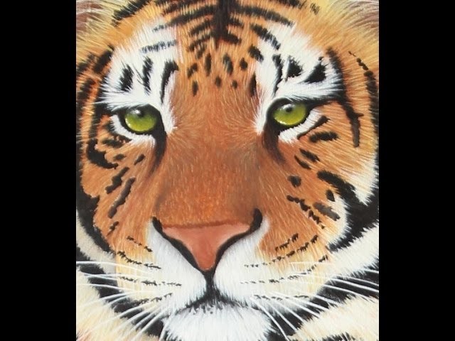 Como pintar un tigre - Pinceles - Acrilicos - Mabel Blanco