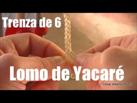 Trenza de 6 "Lomo de Yacaré"  "El Rincón del Soguero"