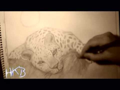 Cómo dibujar un leopardo (How draw a leopard) by Anahkb