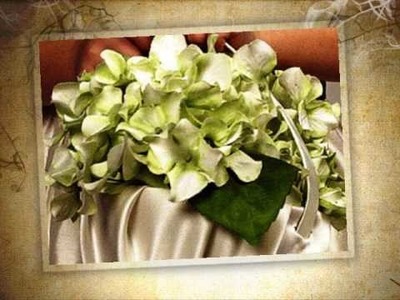 Naturaleza Exquisita- Arreglos y decoraciones-Novias y banquetes-Flores preservadas