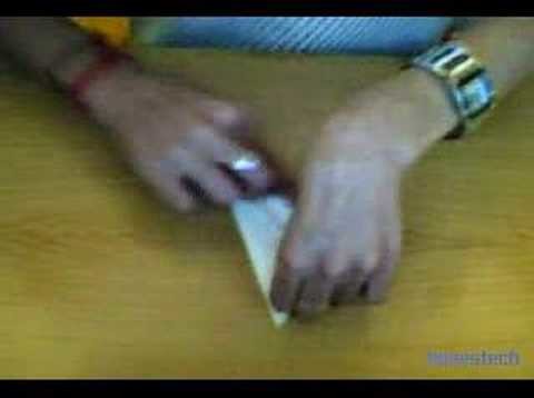 PAPIROFLEXIA PAJARITA VOLADORA