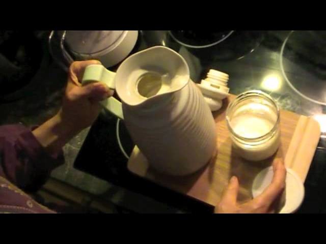 Yogur fácil en termo. DIY homemade yogurt at home. EcoDaisy.