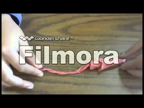 Tejido Conjuntivo Laxo Reticular