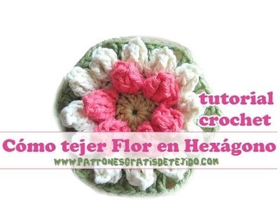 Como tejer flor en hexagono al crochet