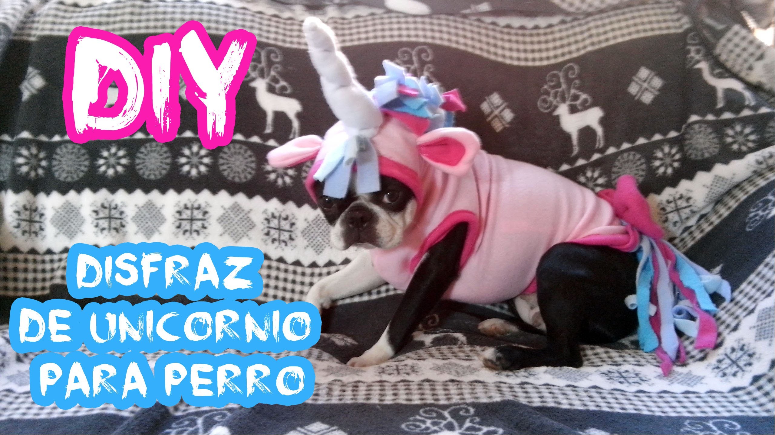 HALLOWEEN DIY ♥ Disfraz de unicornio para perro ♥