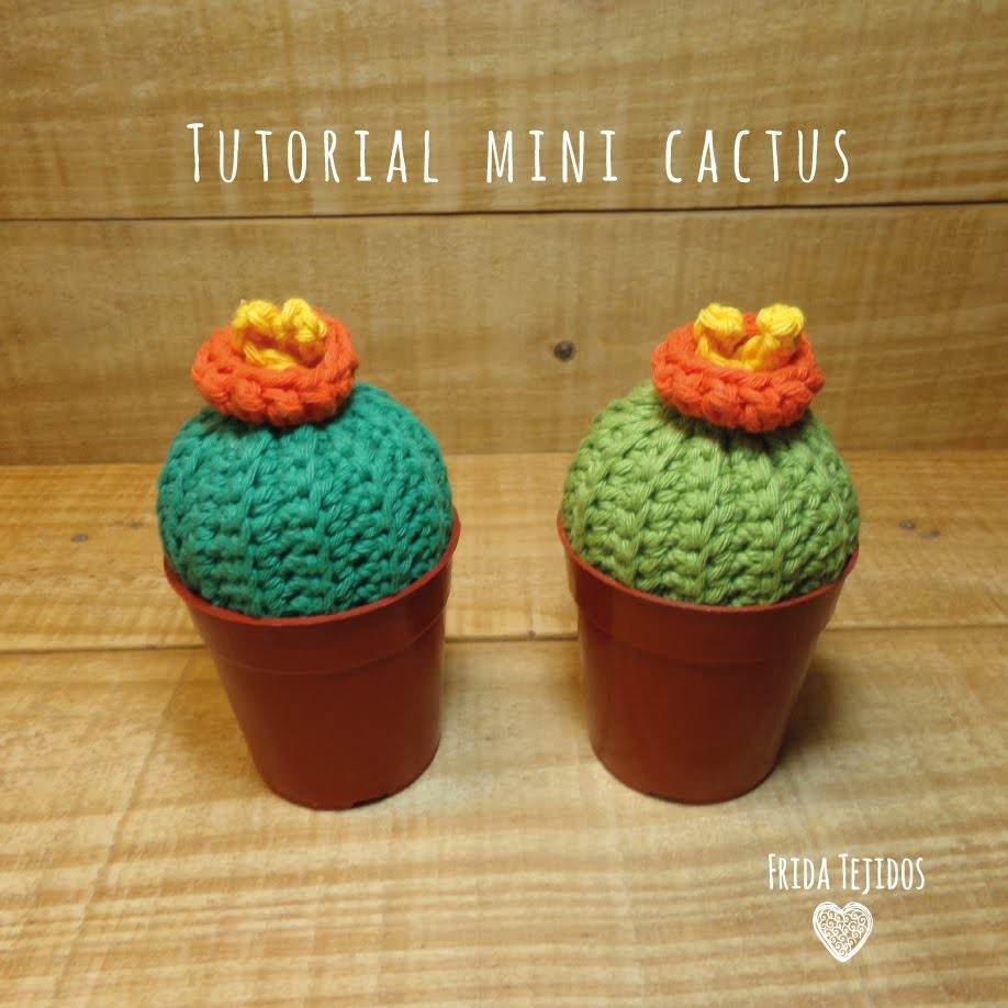 Tutorial Mini Cactus en Crochet