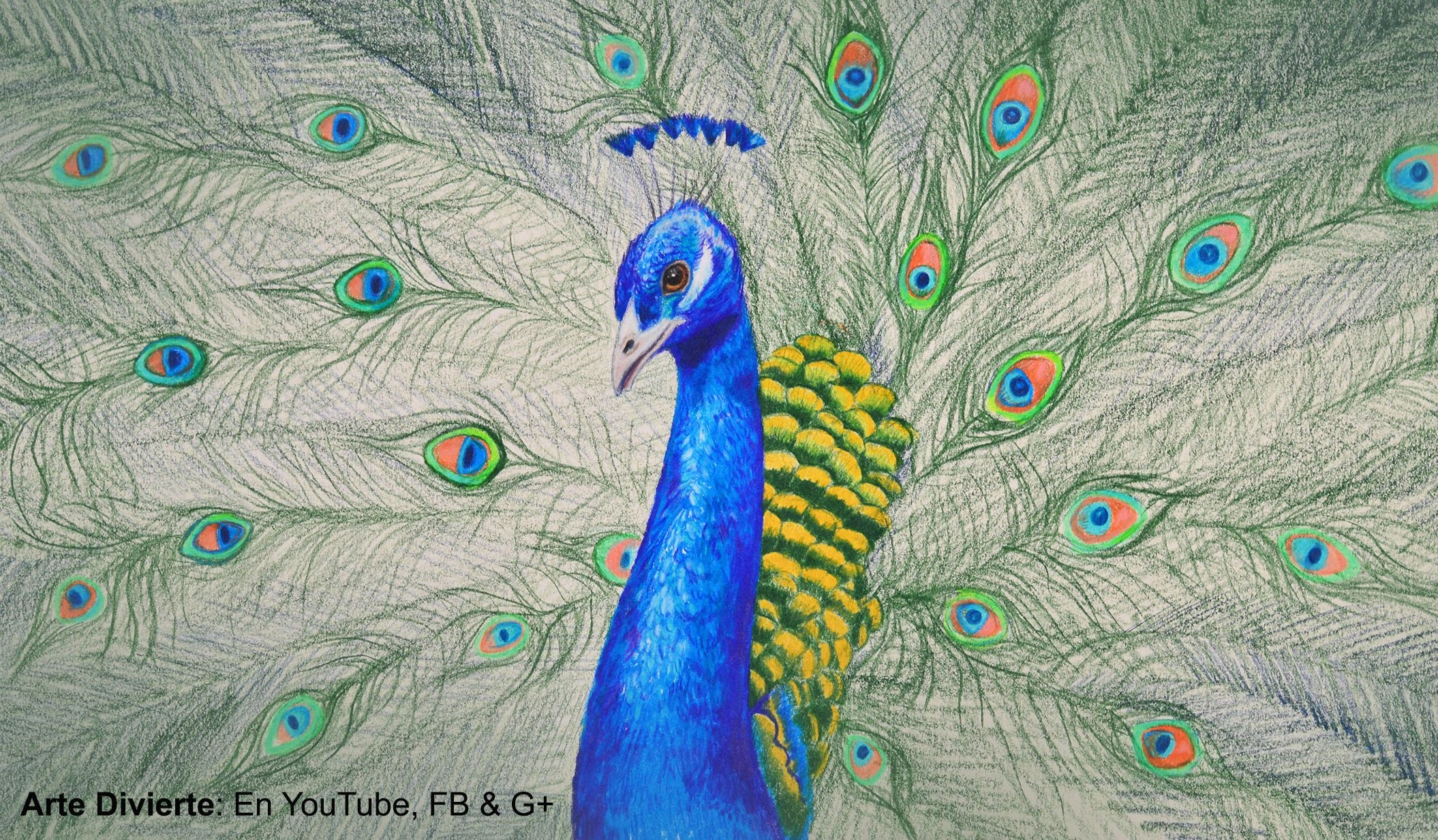 Cómo dibujar un pavo real con lápices de colores - Arte Divierte.
