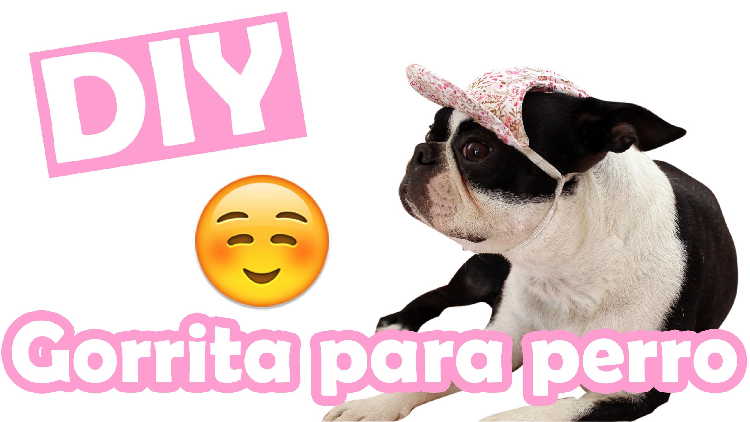 DIY ♥ Gorrita para perro ♥ Mascotas ♥ Colaboración con Hi Kali