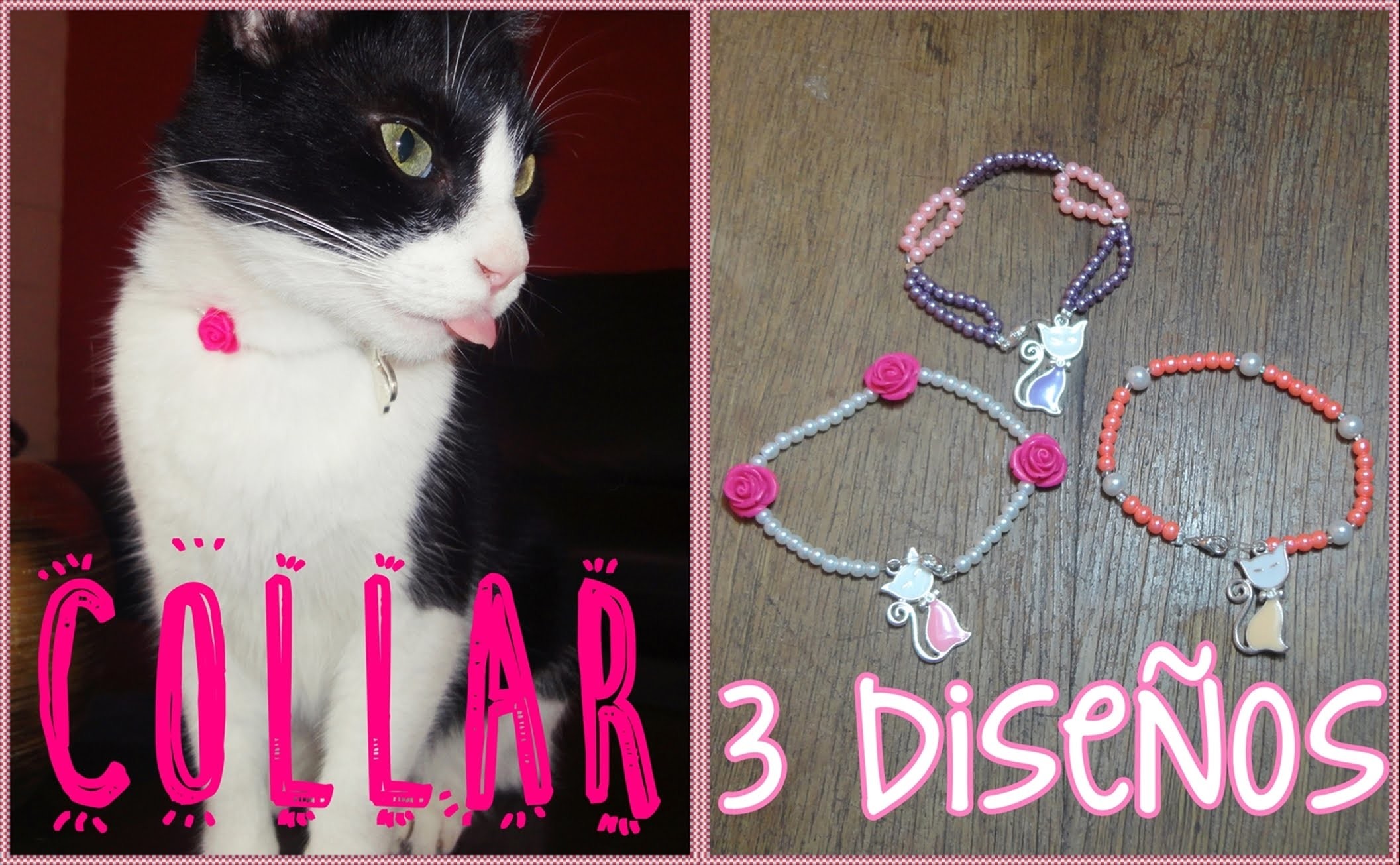 DIY Collar para tu gato♡3 diseños fácil y bonitos