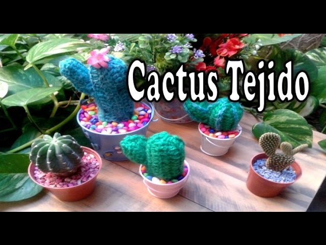 Cactus tejido a crochet-Facil -DelCarmenArtesanal