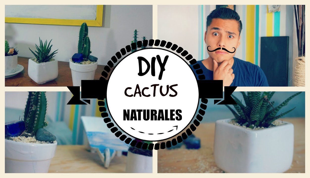 DIY MINI CACTUS HÍPER FÁCIL para tu habitación