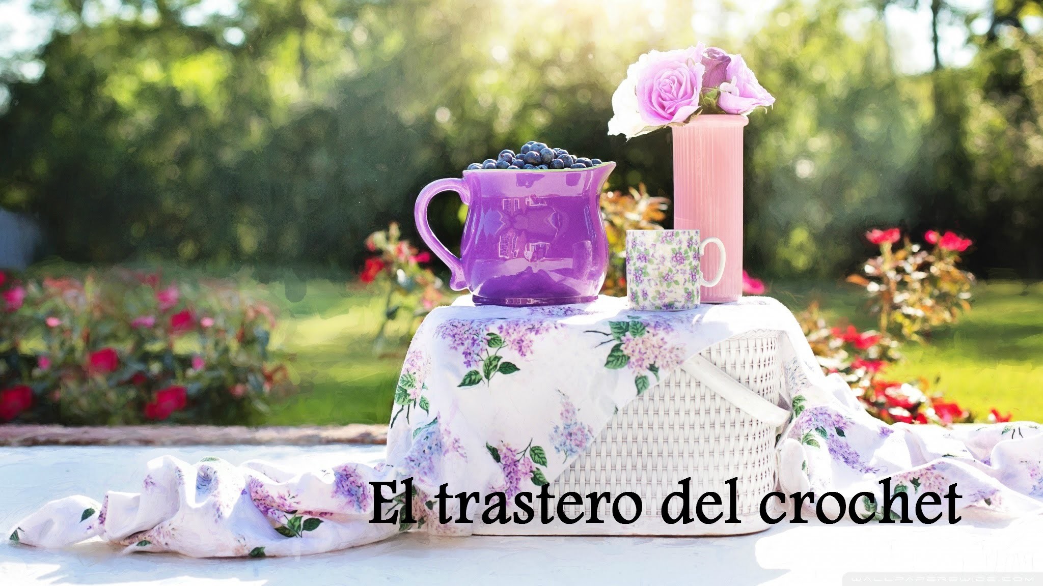 Aprender el crochet, cadena y punto enano