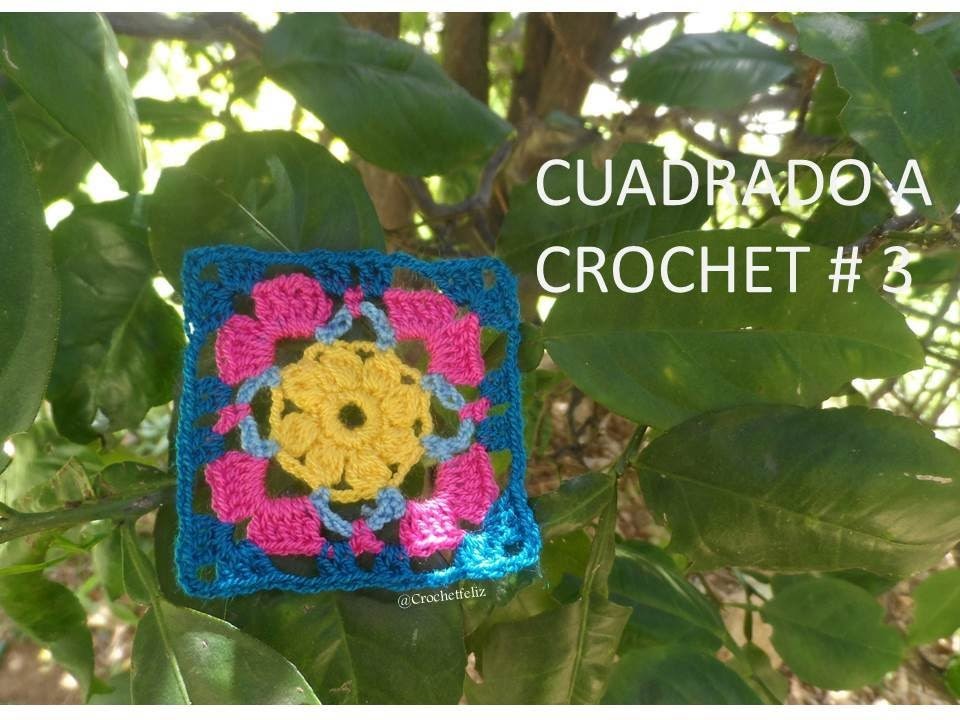 Cuadrado a Crochet # 3 Detalle en punto piña