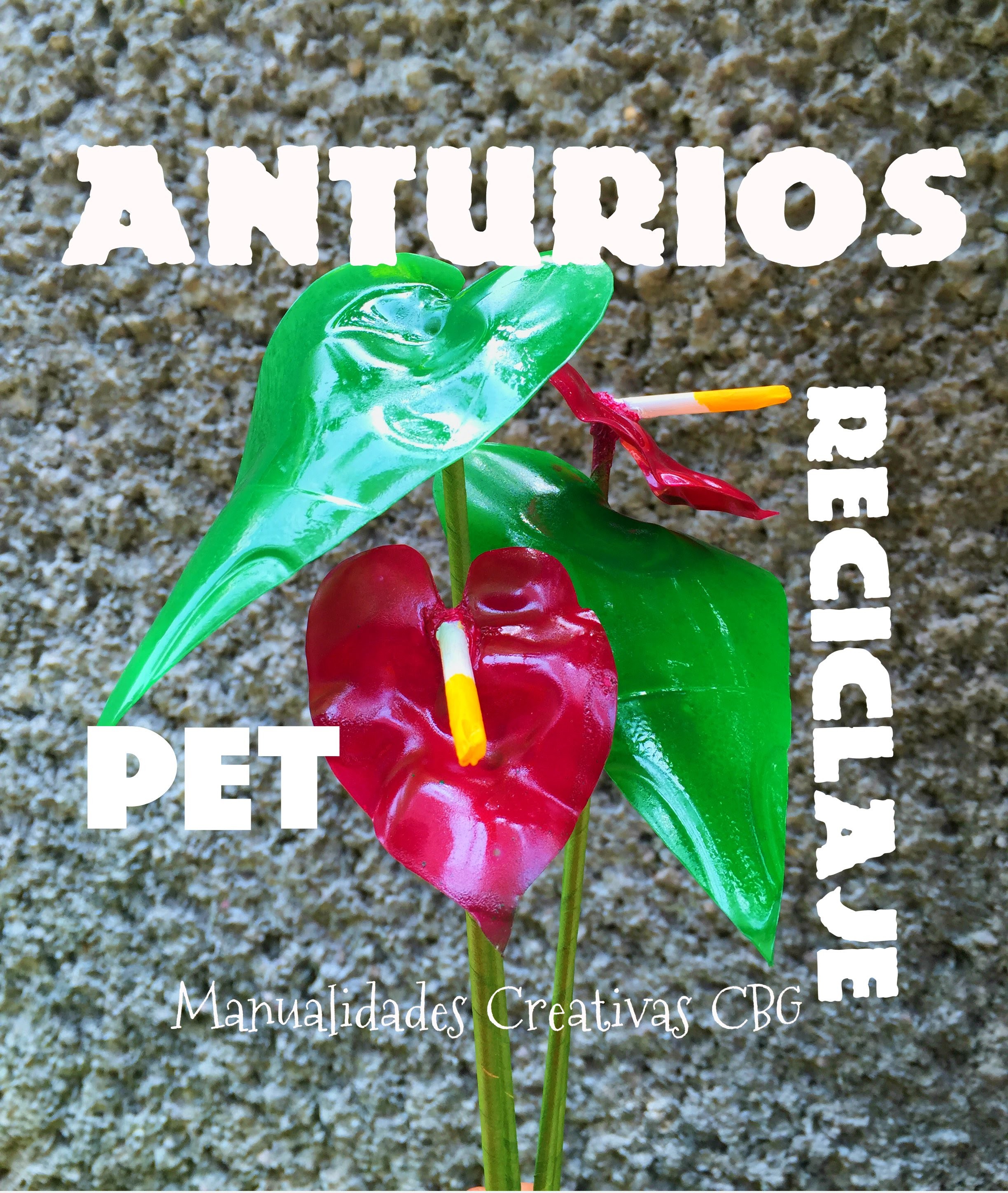 Diy Flor Anturio de PET Botella de plástico anthurium flower pet recycling