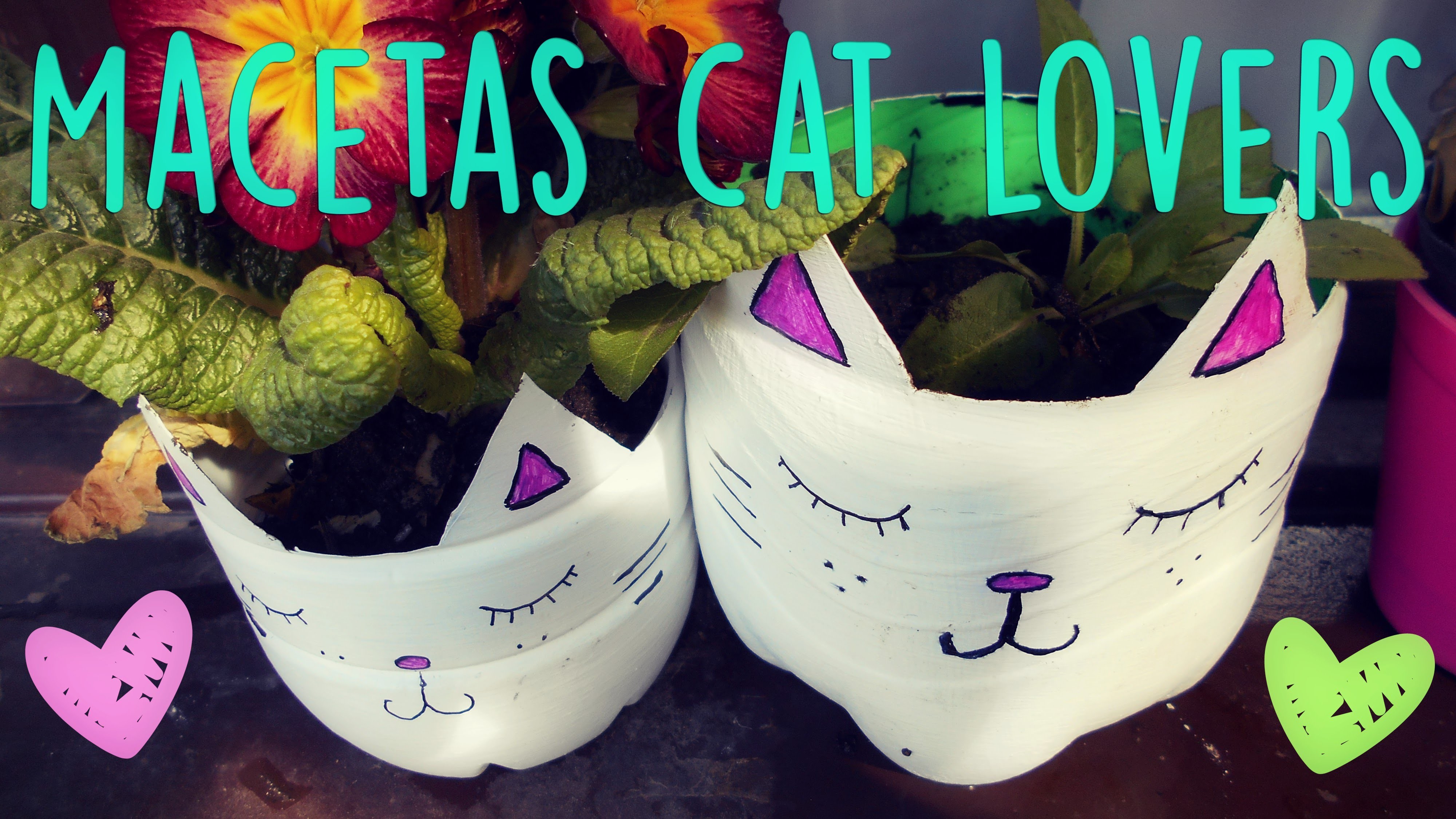 DIY - Macetas Cat lover ♥