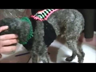 ROPA A CROCHET PARA MASCOTAS. PERROS sin patrón. nivel expertas.