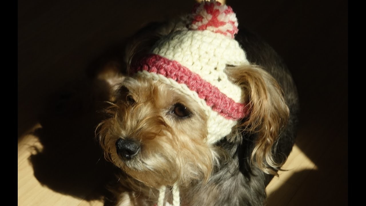 Gorro para perros y para perras a crochet.how to crochet a dog hat.